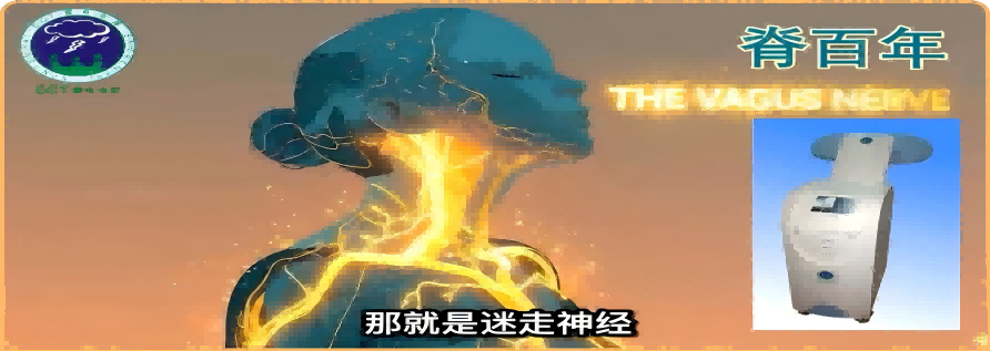 尿毒症肾病炁场电场治疗研究课题新进展